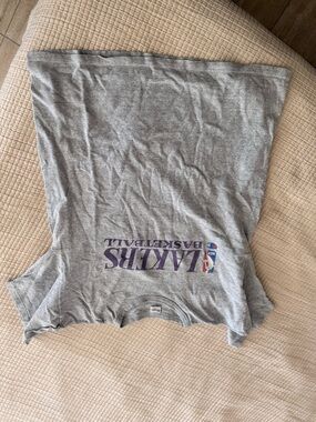 Champion Gray Lakers Basketball Tee with Purple Logo